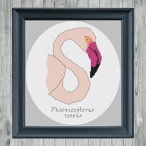 Flamingo Cross Stitch Pattern, Animal Cross Stitch, Bird Cross Stitch, Science Cross Stitch, Gift for bird watcher, Gift for scientist