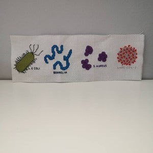 May include: Cross-stitch embroidery of four different types of microbes: E. coli, Borrelia, S. aureus, and SARS-CoV-2.