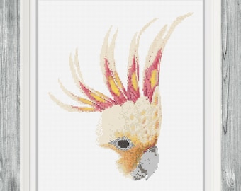 Bird Cross Stitch Pattern, Cockatoo Cross Stitch, Vintage Cross Stitch, Science Cross Stitch, Parrot Cross Stitch, Nature Cross Stitch
