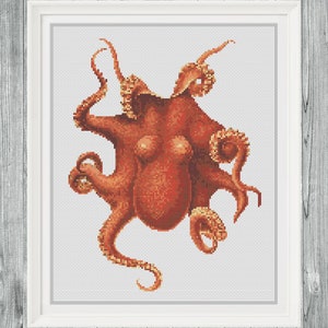 May include: A detailed illustration of an octopus with eight tentacles, rendered in shades of orange and red against a white background.