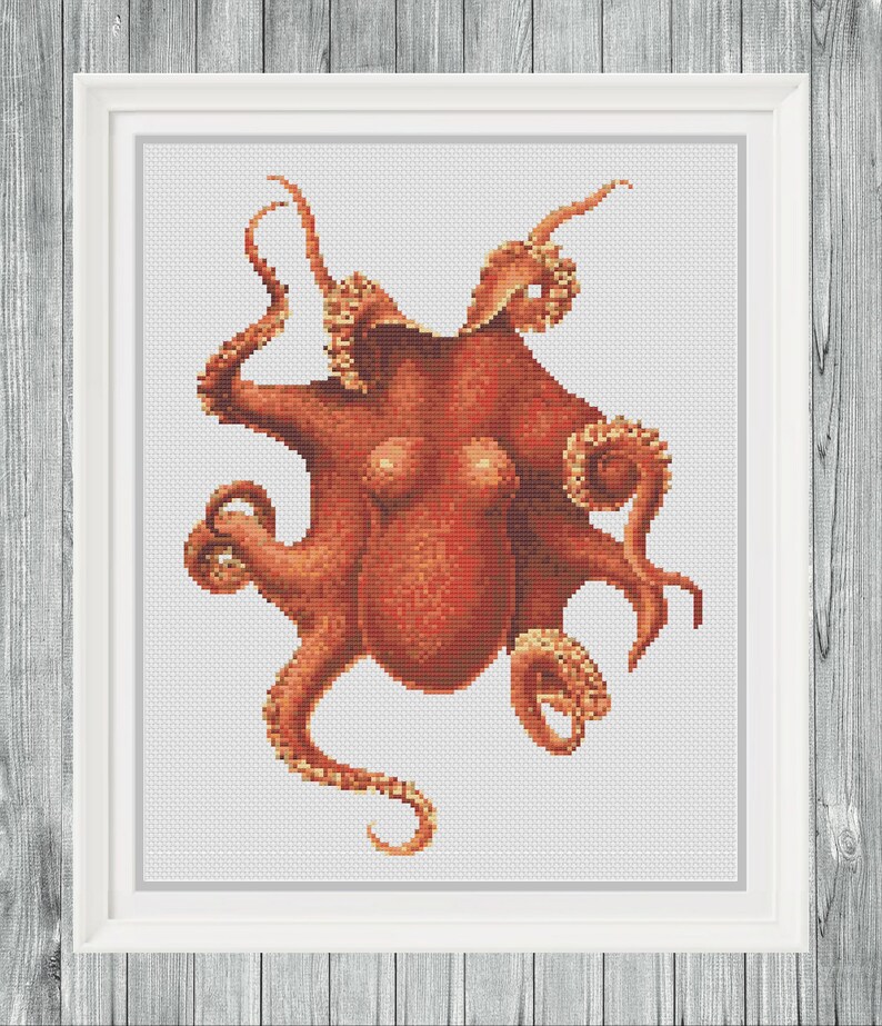 May include: A detailed illustration of an octopus with eight tentacles, rendered in shades of orange and red against a white background.