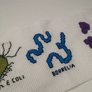 May include: Cross-stitch embroidery of different bacteria, including E. coli, Borrelia, and a purple cluster. The embroidery is on white fabric.