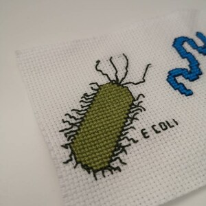 May include: Cross-stitch embroidery of a green E. coli bacteria with black outlines and a blue "Nu" in the background.