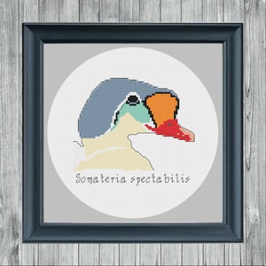 Eider Cross Stitch Pattern, Animal Cross Stitch, Bird Cross Stitch, Science Cross Stitch, Duck Cross Stitch, Gift for bird watcher