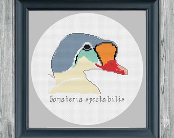 Eiderente Kreuzstich Muster, Tier Kreuzstich, Vogel Kreuzstich, Wissenschaft Kreuzstich, Ente Kreuzstich, Geschenk für Vogelbeobachter