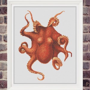 May include: A detailed illustration of an octopus with eight tentacles, rendered in shades of orange and brown against a white background.