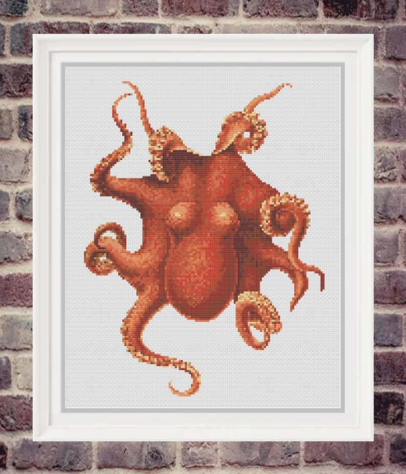 May include: A detailed illustration of an octopus with eight tentacles, rendered in shades of orange and brown against a white background.