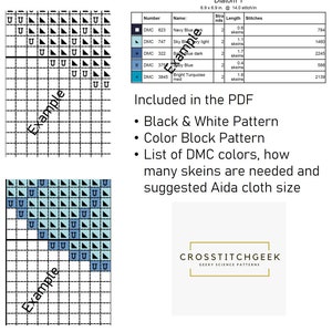 May include: A cross stitch pattern for a diatom, a type of algae. The pattern includes a color block pattern, a black and white pattern, and a list of DMC colors with the number of skeins needed and the suggested Aida cloth size. The pattern is 6.9 inches by 6.9 inches and uses 14 stitches per inch.