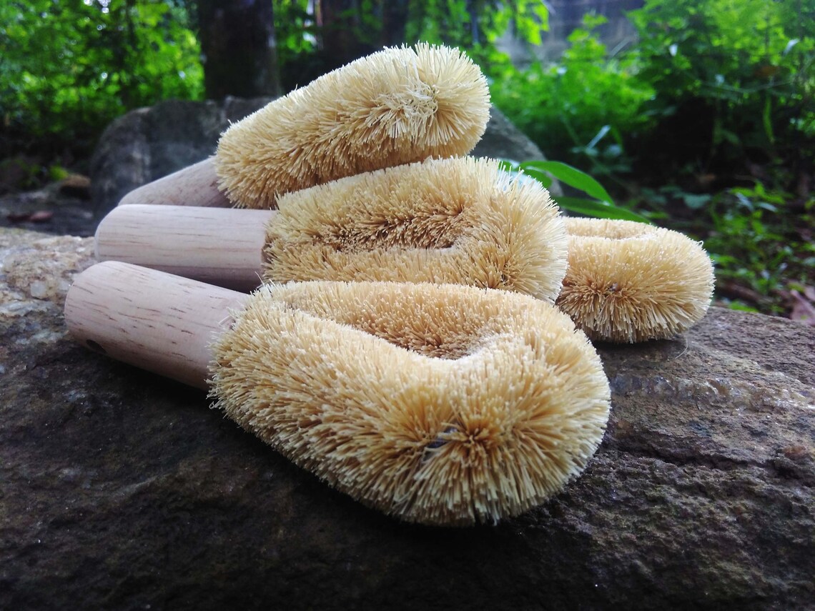 Scrubbing Brush Pads coconut coir pad coconut Etsy