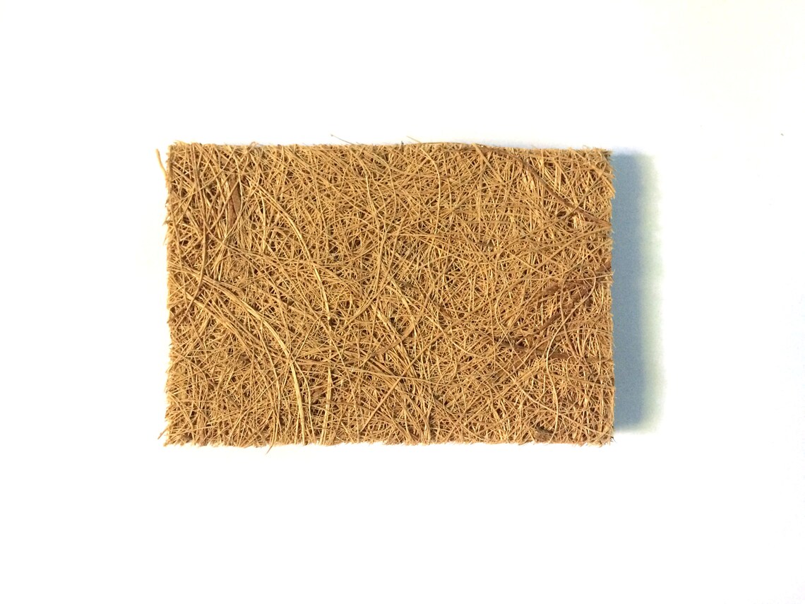 Cute Scrubbing Brush Pads Coconut Coir Pad Coconut Etsy
