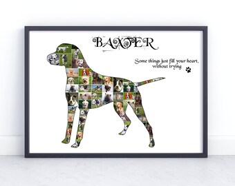 Personalised Dalmatian Dog Pet Photo Collage Gift. Collage Gift with your favourite pet photos.