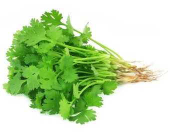 Organic Cilantro seeds - Slow bolt - Free Shipping - Grown in USA