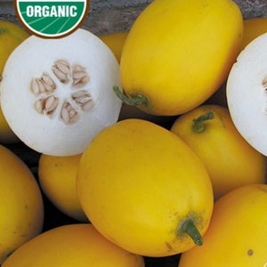 Könnte beinhalten: Eine Gruppe gelber Bio-Melonen, einige aufgeschnitten, um das weiße Fruchtfleisch und die Kerne zu zeigen. Die Melonen sind oval geformt und haben eine glatte Schale. Das Bild enthält ein USDA Organic-Label.