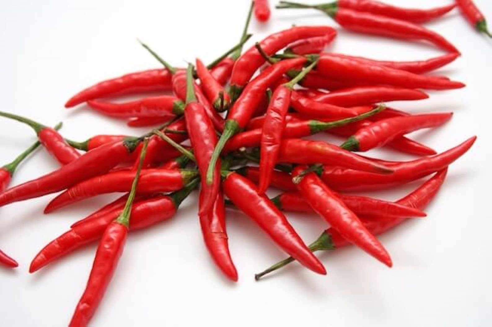 10 Premium Filipino Labuyo pepper seeds Hot/Spicy Etsy
