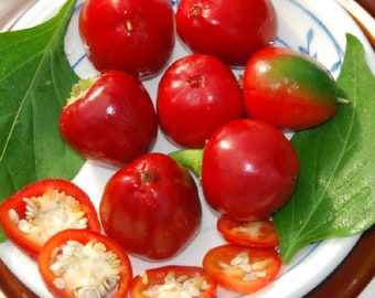 10 Sweet Red Cherry pepper seed - Free shipping - Sweet!! USA !! Beautiful !