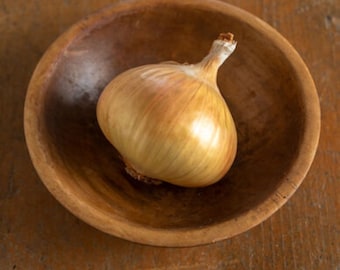 Walla Walla sweet onion seeds - Classic ! Sweet ! Delicious ! Grown/Harvested in USA ! 2024 ! Long Day !