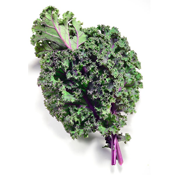 Heirloom Red Russian Kale - One gram - Free USA Ship - Tasty ! Greens ! Healthy ! Fresh !