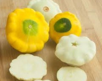 10 Patty Pan squash seeds - Free ship - Yellow and white mix ! Yummy ! Tasty ! Fresh !