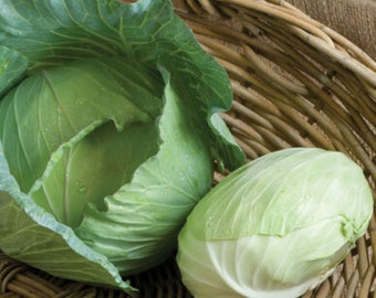 Tendersweet green cabbage seeds - Free ship - Grown in USA