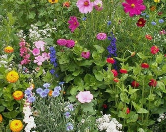 Premium Cottage Garden mix flower seed - Beautiful ! Grown in USA ! Stunning !