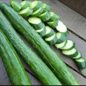 10 Japanese Long cucumber seeds - Tasty ! Sweet ! Crisp ! Burpless ! Low seeds !
