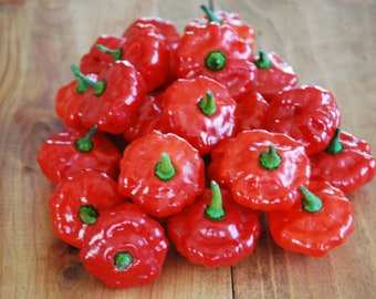 10 graines de Sweet Bonnet Pepper ! Livraison gratuite ! ÉTATS-UNIS!