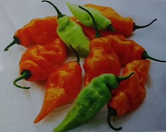 May include: A group of ten orange and green chili peppers. The peppers are arranged in a cluster on a white surface.