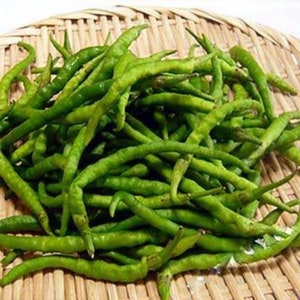 10 semillas de pimiento dulce Himo Togarashi tradicional - ¡Japonés! ¡Especial! ¡EE. UU.! ¡2024! ¡Delicioso! ¡Gourmet!