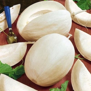 May include: A group of white melons, some cut open to reveal the creamy white flesh. The melons are arranged on a red and brown surface with green leaves.