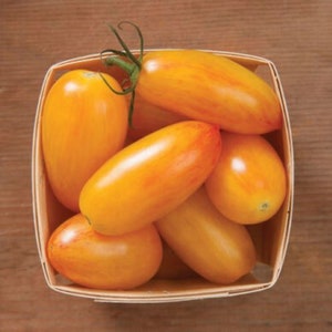 20 Organic Blush tomato seeds - Free ship - Grown in USA