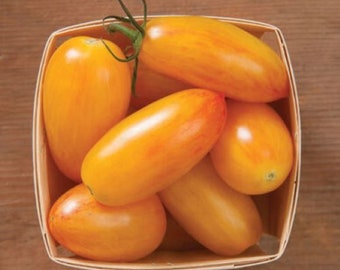 20 Organic Blush tomato seeds - Free ship - Grown in USA