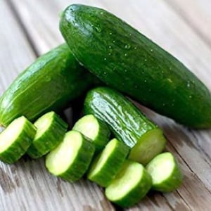 Heirloom Persian Cucumber Seeds - Fresh seeds grown and harvested in USA !! Very popular ! Tasty ! Lebanese !
