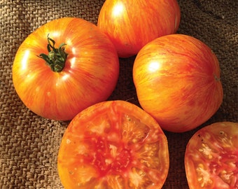 20 Organic Beauty King tomato seeds - Free ship - Grown in USA