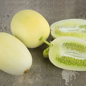 10 Dragons Egg cucumber seeds - Fresh ! Delicious! Unique ! Specialty !