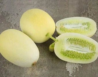 10 Dragons Egg cucumber seeds - Fresh ! Delicious! Unique ! Specialty !