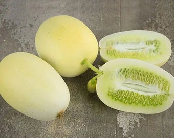 10 Dragons Egg cucumber seeds - Fast free shipping - Fresh ! Delicious!