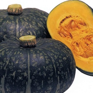 May include: Three whole pumpkins, two are dark green with a mottled pattern and one is orange and cut open to show the inside.