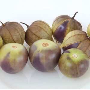 10 biologische De Milpa Tomatillo-zaden - uniek! Vers! Geteeld/geoogst in de VS !!