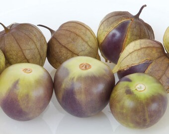 10 semi biologici De Milpa Tomatillo - Unici! Fresco ! Coltivato/raccolto negli Stati Uniti!!