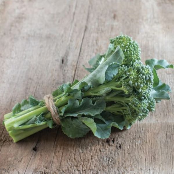 Organic De Cicco Broccoli Seeds - Free Ship - Grown and harvested in USA ! One gram ! Fresh ! Healthy !