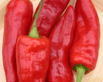 10 Red Marconi Sweet pepper seeds - Delicious Italian pepper ! Grown in USA ! Sweet !