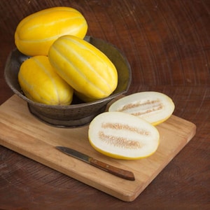 May include: Four yellow melon fruits, two in a metal colander and two on a wooden cutting board. The melons have a striped pattern and are cut in half, revealing white flesh.