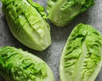 May include: Four fresh, green romaine lettuce hearts are arranged on a gray surface. The leaves are tightly packed, showing a mix of light and dark green hues. The image is a top-down view, highlighting the texture and freshness of the produce.