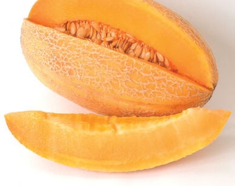 10 Organic Sweet Granite Cantaloupe/Muskmelon seeds, Sweet/juicy - Free ship - Grown in USA