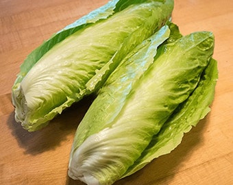 May include: Two whole romaine lettuce heads, with light green leaves, are arranged on a wooden surface.