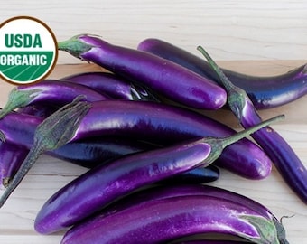 10 Organic Ping Tung Asian Eggplant - Long/Purple - Grown and Harvested in USA !! Specialty ! Tasty !