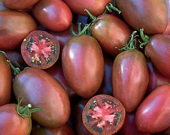 20 Ukrainian Purple tomato seeds - Juicy, Productive, Beautiful ! USA !!