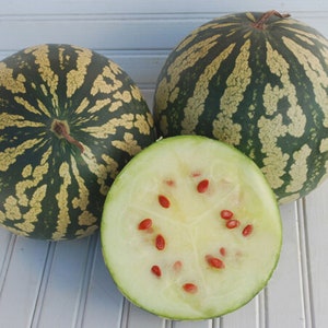 10 Citron, Red Seeded watermelon seeds - Sweet/Juicy - Unique - Grown/Harvested in USA !!