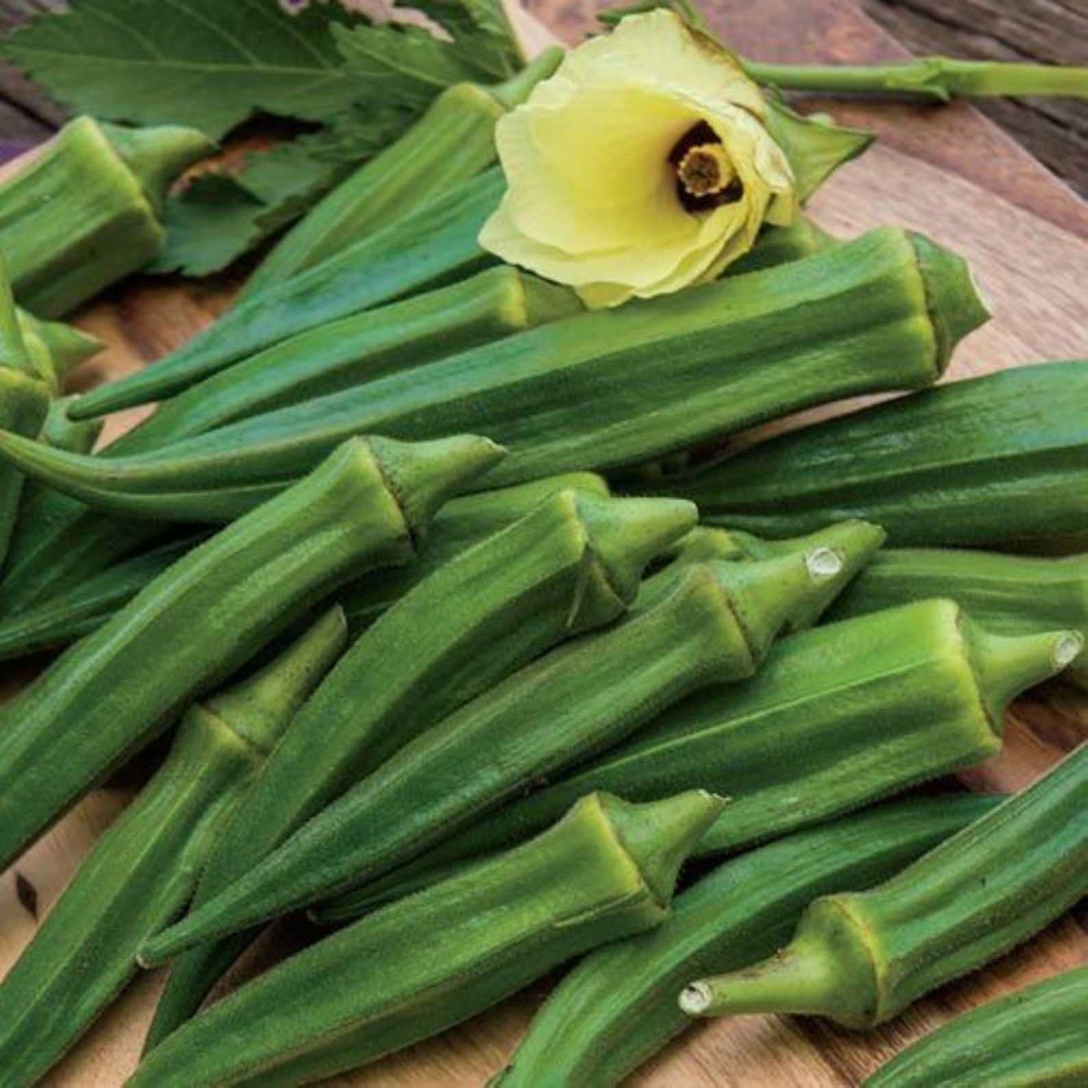 20 Heirloom Emerald Okra Seeds Grown/harvested in USA Etsy