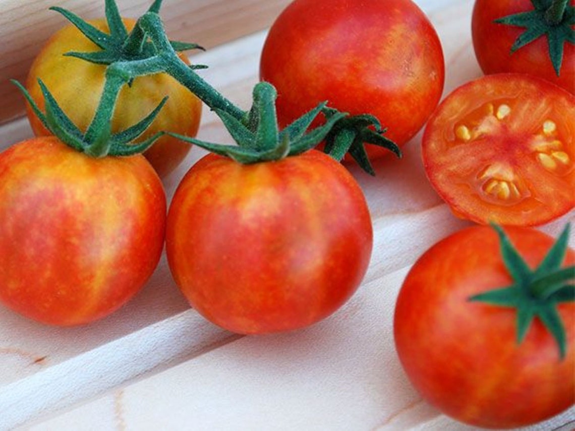 20 Isis Candy Cherry Tomato Seeds Free Ship Grown in USA Juicy Sweet Etsy